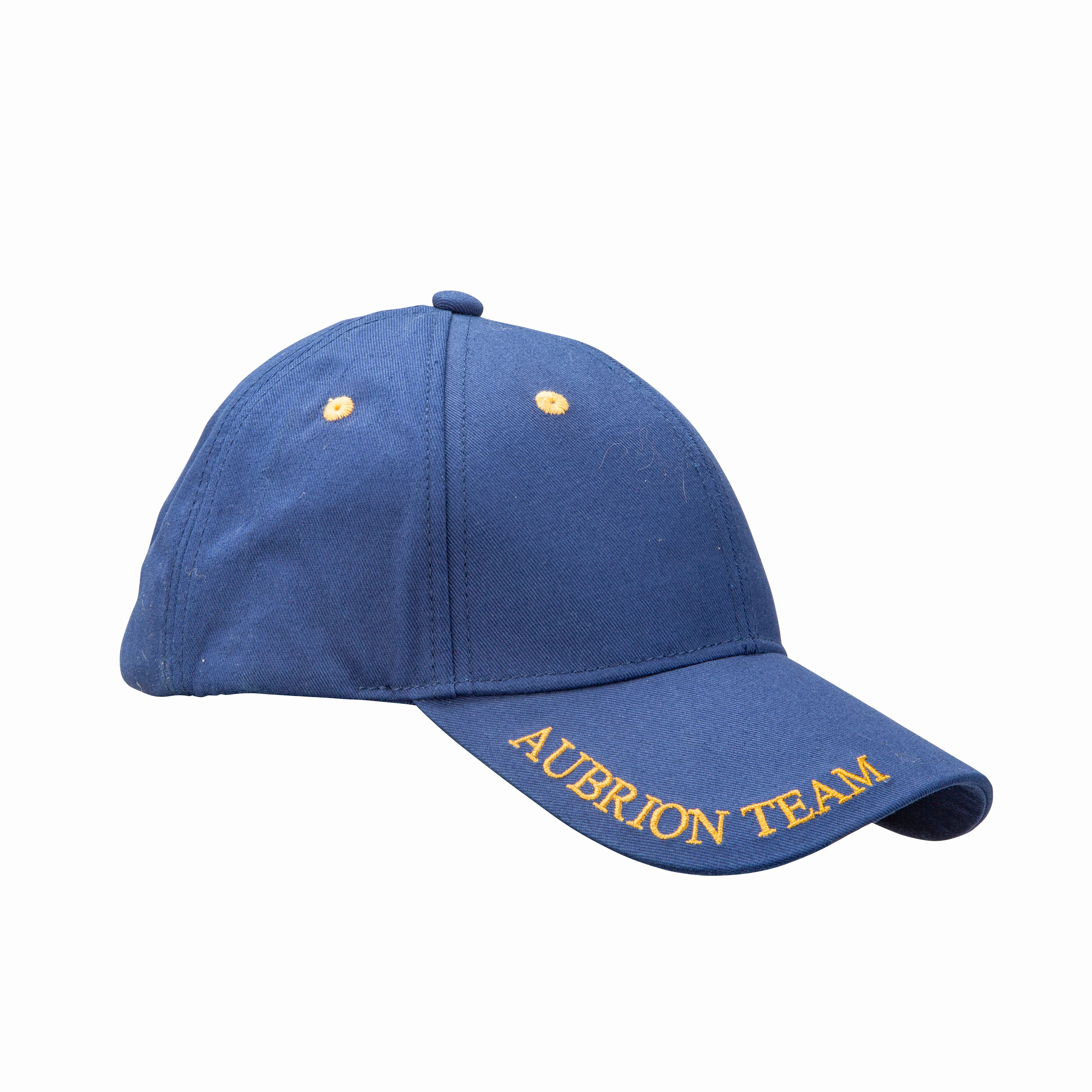New Season Aubrion Team